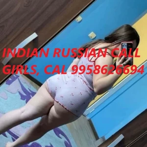Noida Escorts 674
