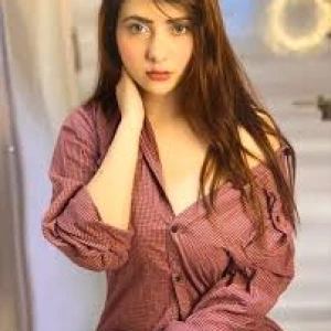 Noida Escorts 843